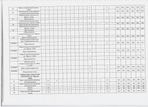 СВОДНАЯ ВЕДОМОСТЬ_2025_page-0002